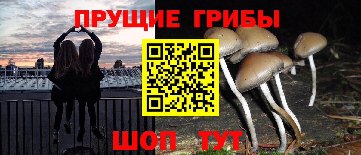 Кизляр  Псилоцибиновые грибы мицелий  Вход с VPN 